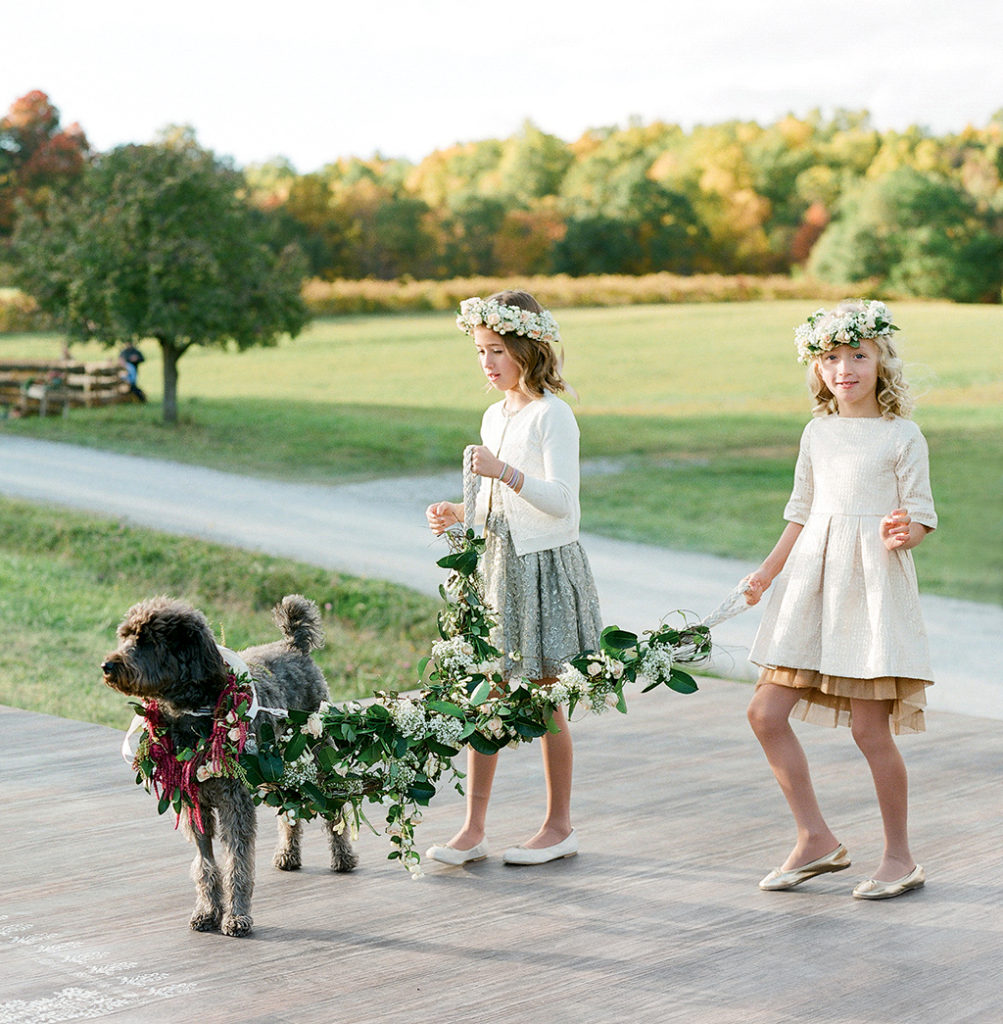 pets at weddings